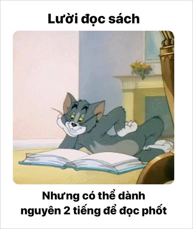 ảnh chế meme tôm and jerry hài hước