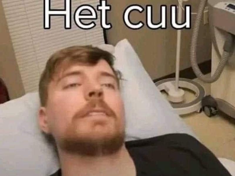 ảnh meme nghỉ cứu