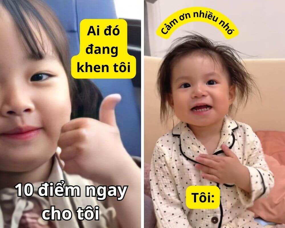 cảm ơn meme