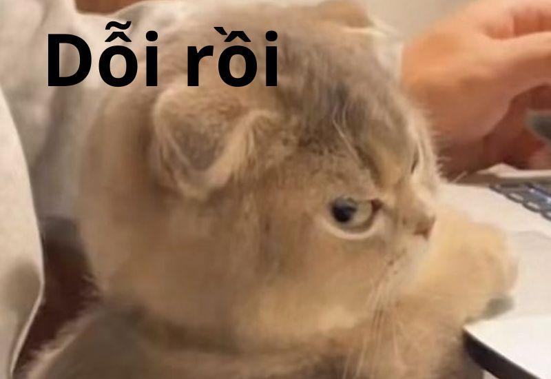 dỗi meme