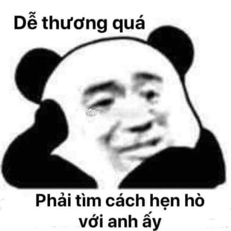 gấu trúc meme mắt thâm