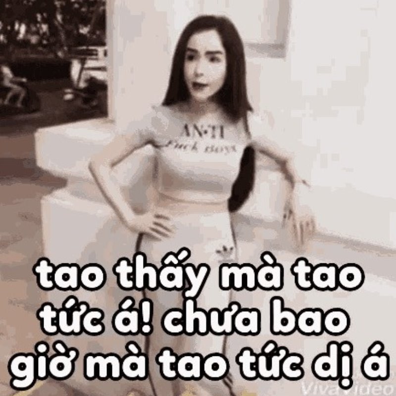 linda lan cầm sục meme