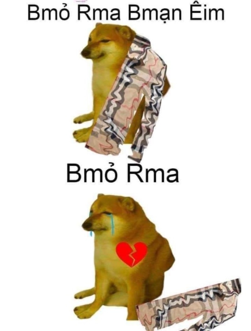 meme cheemes bỏ ra bạn ei