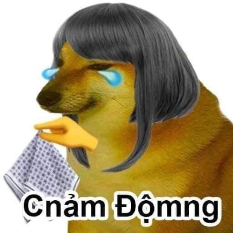 meme cheems cảm động