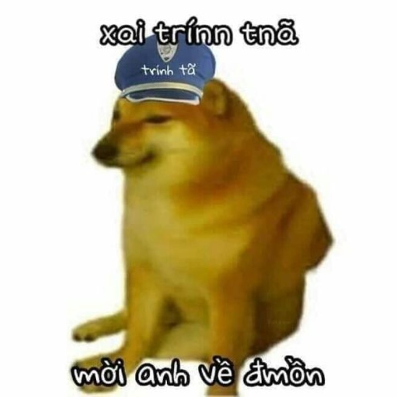 meme cheems cảnh sát chính tả