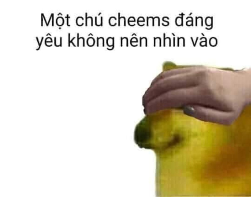 meme cheems che mắt