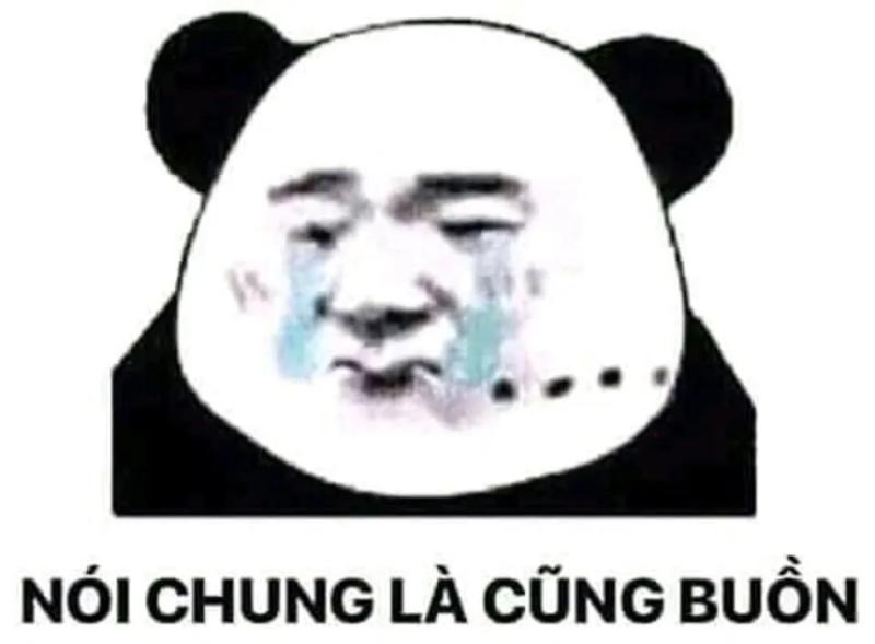 meme dỗi hot nhất