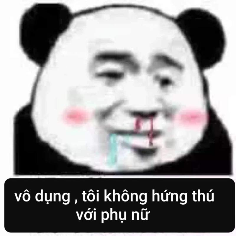 meme gấu trúc bị đánh