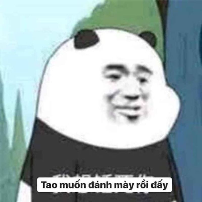 meme gấu trúc buồn