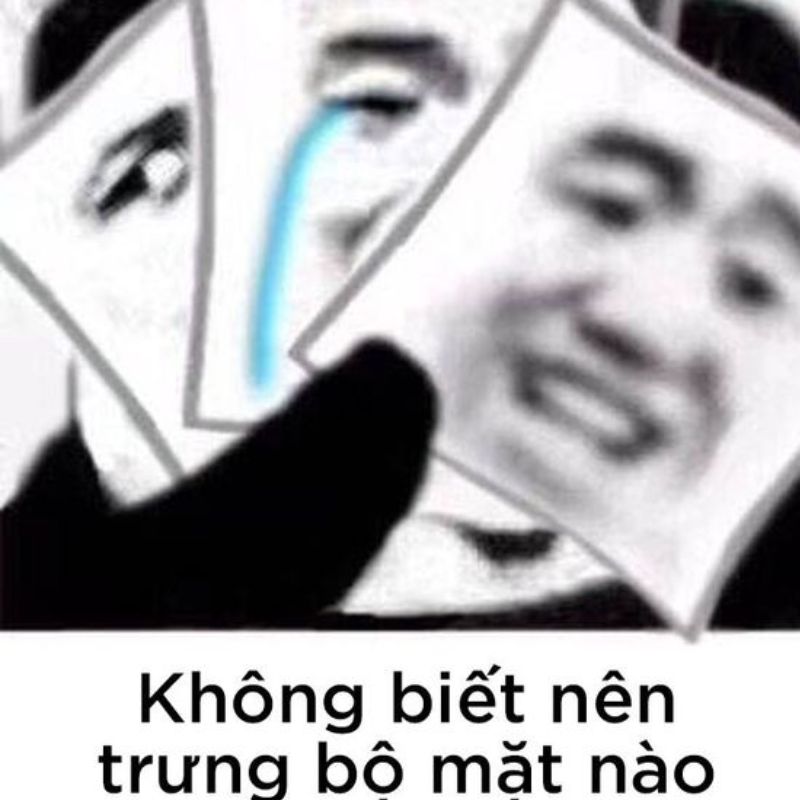 meme gấu trúc cười