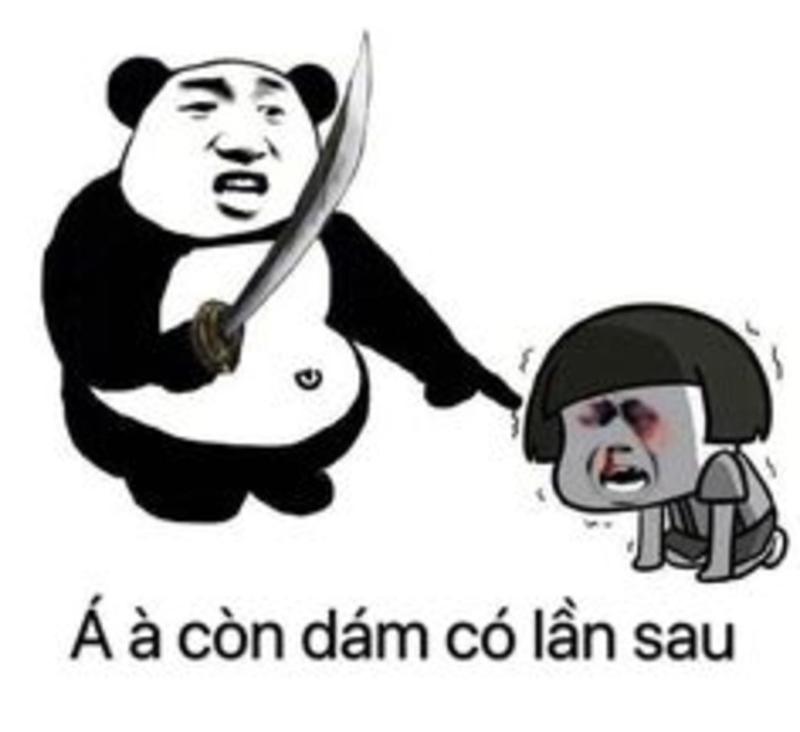 meme gấu trúc đe dọa