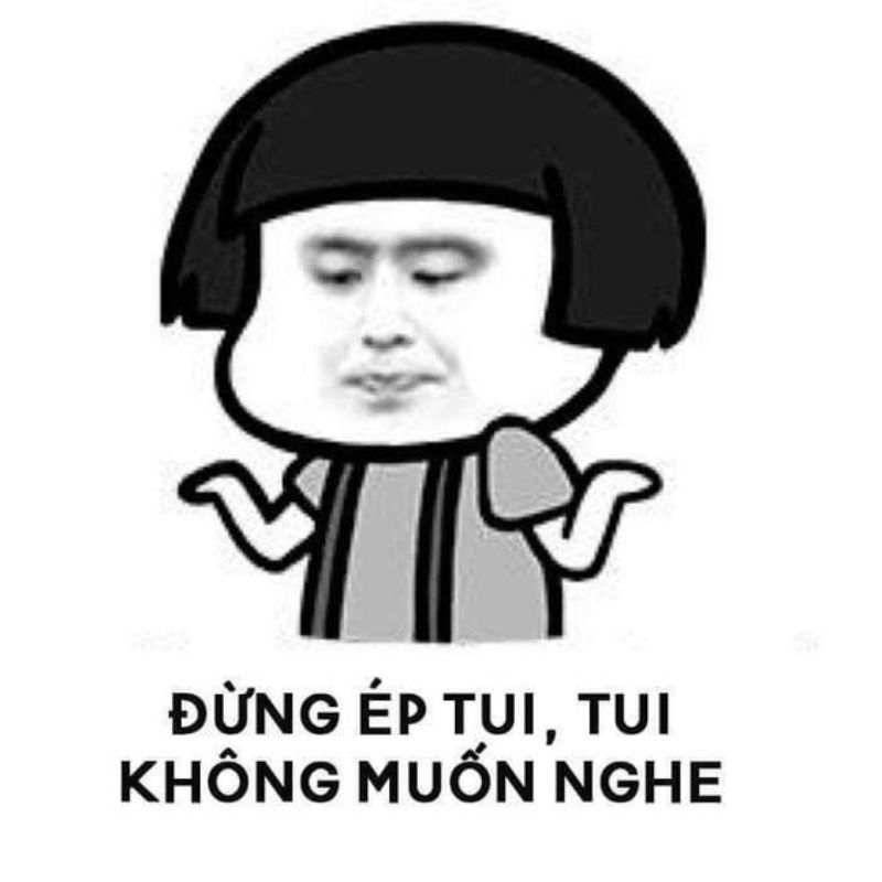 meme gấu trúc dễ thương