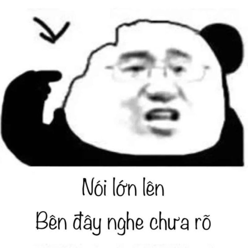 meme gấu trúc mệt mỏi