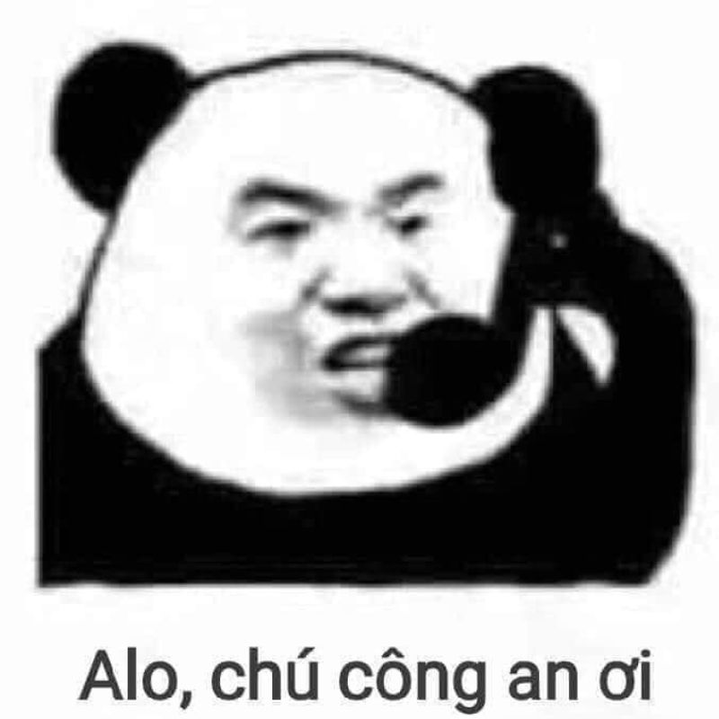 Sưu tầm bộ meme gấu trúc weibo cực vui nhộn, hài hước