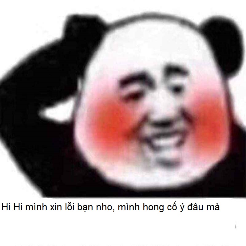 meme gấu trúc xin lỗi