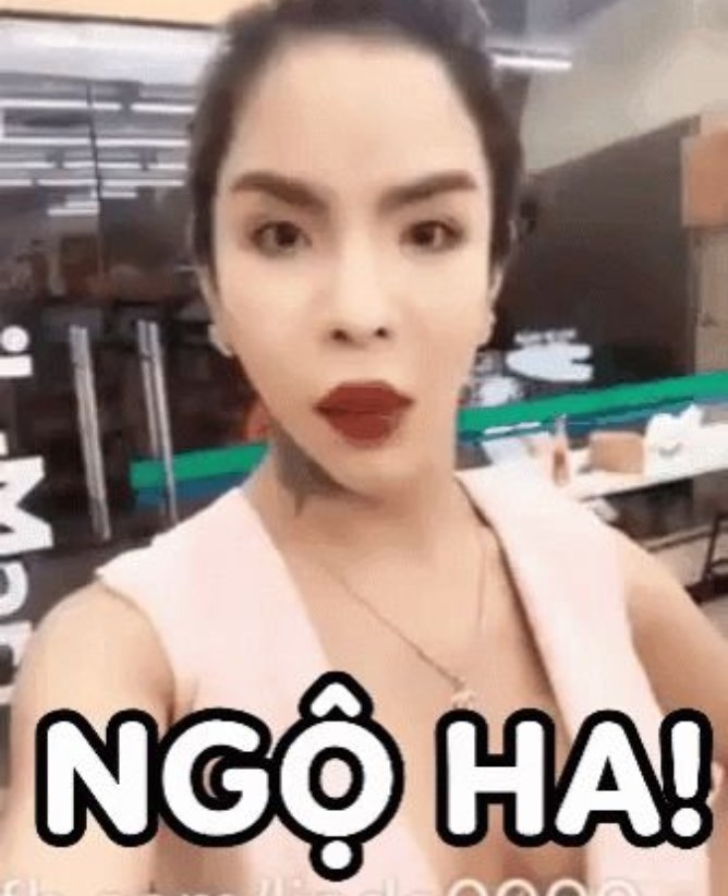 meme linda ngộ ha