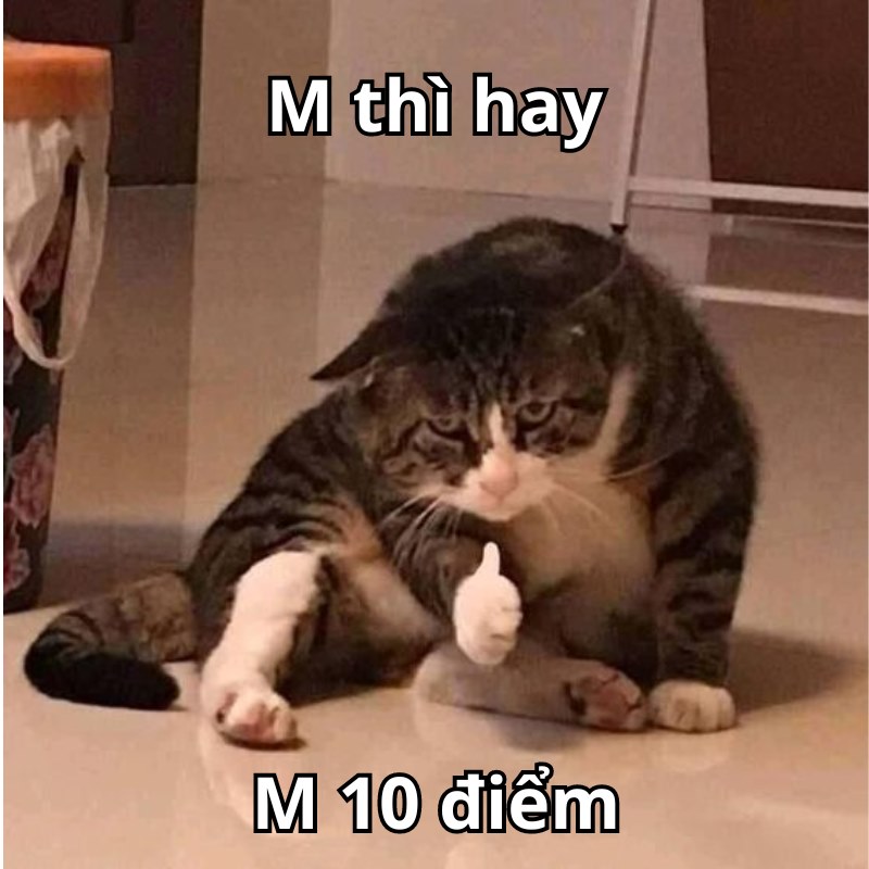 meme m hay rồi m 10 điểm