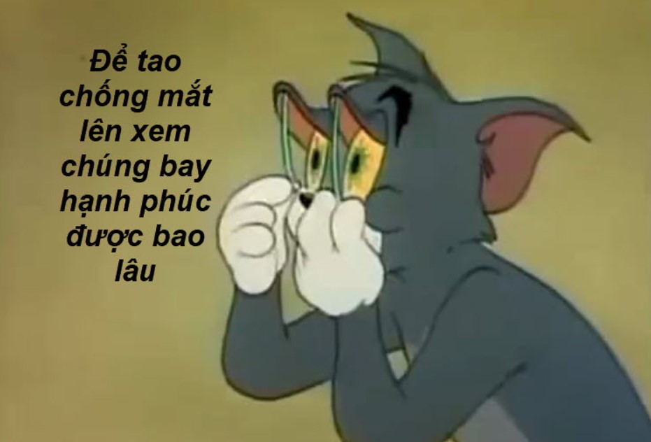 meme mèo tom lầy lội