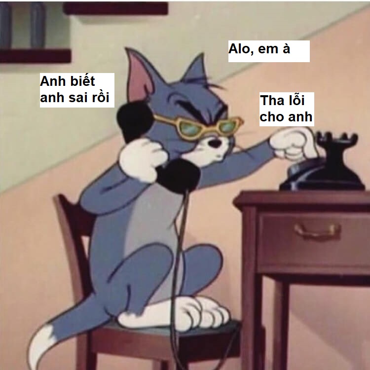 meme mèo tom xin lỗi