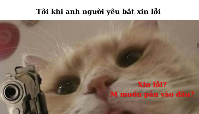 meme xin lỗi hài hước