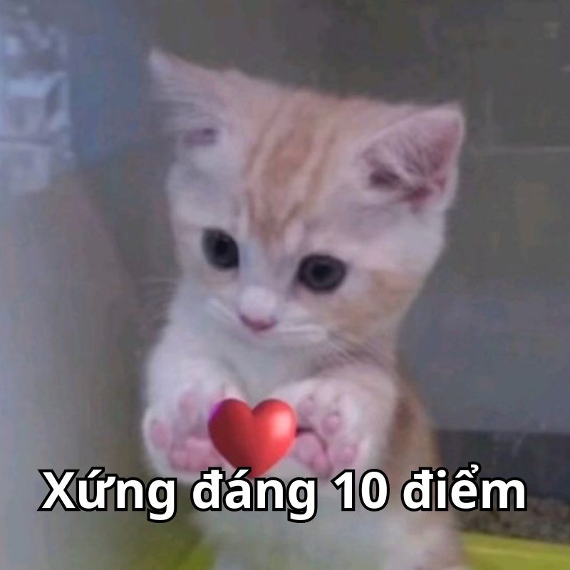 meme xứng đáng 10 điểm