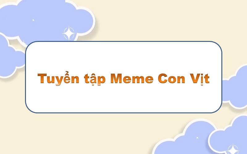 Meme con vịt – đậm chất riêng, những giây phút ngộ nghĩnh không thể cưỡng lại