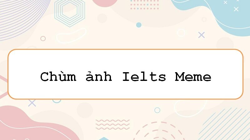 Thêm sắc rực rỡ với ielts meme – khám phá những giây phút thú vị!