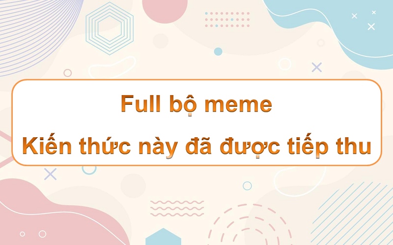 Meme kiến thức này đã được tiếp thu – sắc màu cuộc sống thêm phần thú vị