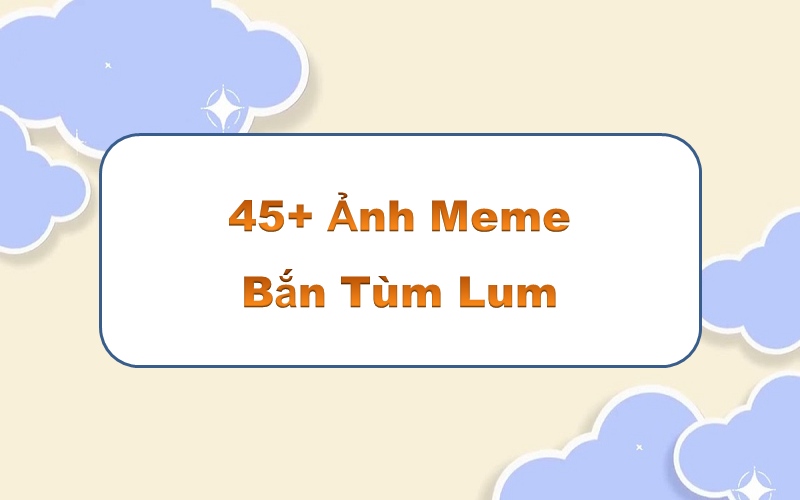 Cá tính qua meme bắn tùm lum – cười thả ga với những pha hành động bất ngờ