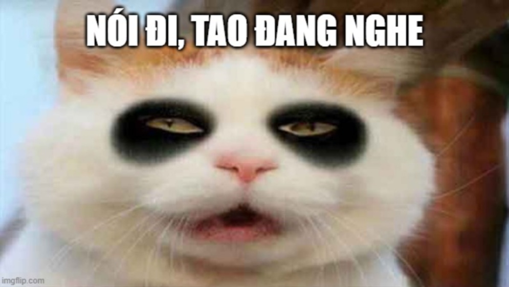 Meme buồn ngủ: cá tính qua những khoảnh khắc “ngủ gật” hài hước