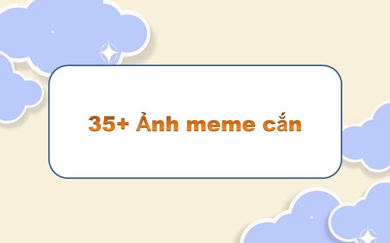 Tận hưởng meme cắn – khiến bạn cười nghiêng ngả với những biểu cảm độc đáo