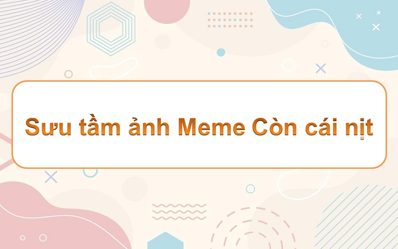 Meme cái nịt – tìm cảm giác mới lạ với những hình ảnh hài hước!