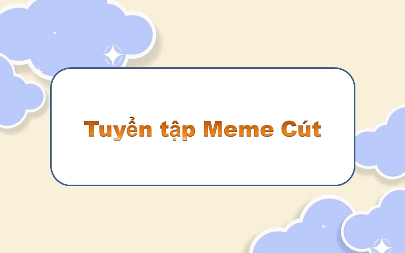 Cút meme – cảm nhận những tràng cười té ghế với độ hài hước bá đạo