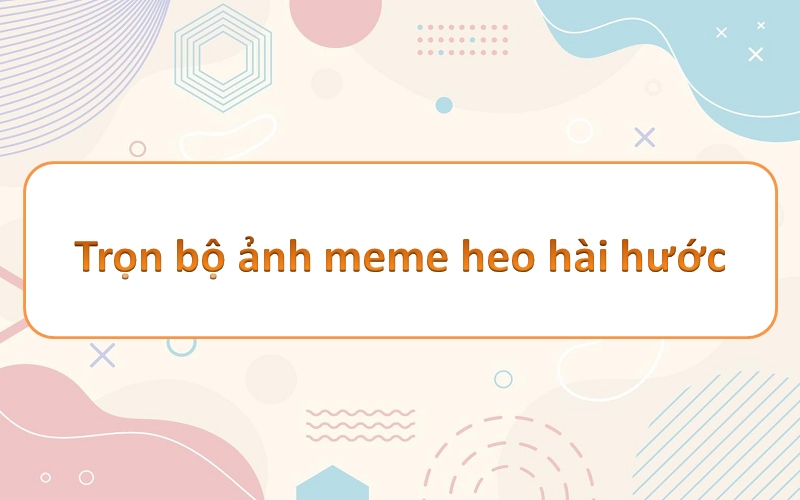 Cá tính qua meme heo – những hình ảnh hài hước đầy sắc màu!