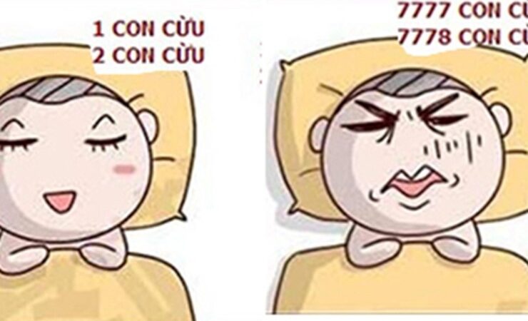 Meme mất ngủ – tinh tế và hiện đại trong những giấc mơ chập chờn