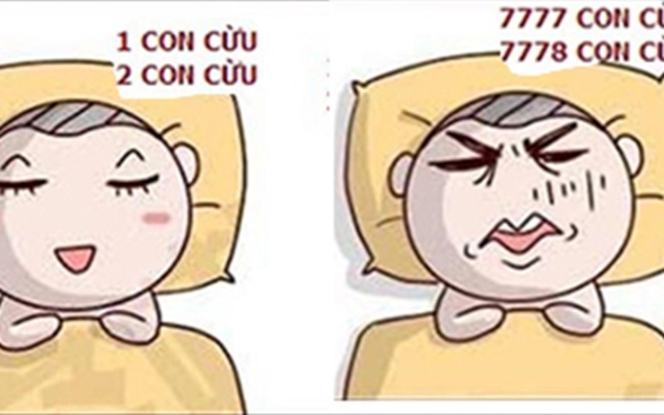 Meme mất ngủ – tinh tế và hiện đại trong những giấc mơ chập chờn