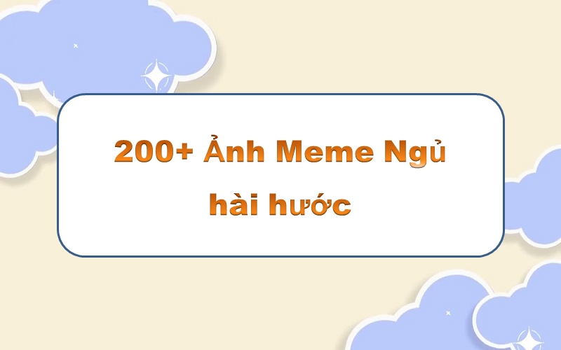 Sắc nét tuyệt đẹp với meme ngủ hài hước khiến bạn muốn ôm gối ngay!