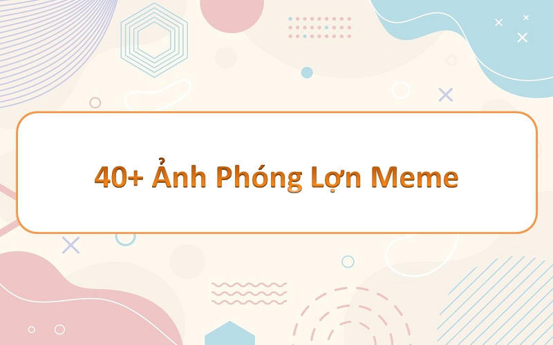 Không gian sống động với phóng lợn meme – sưu tập những khoảnh khắc vui nhộn!