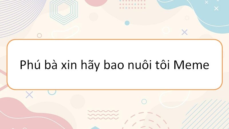 Phú bà xin hãy bao nuôi tôi meme – tinh thần sống động và cá tính riêng biệt