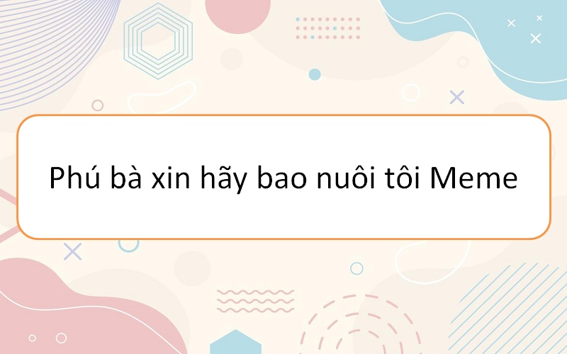 Phú bà xin hãy bao nuôi tôi meme – tinh thần sống động và cá tính riêng biệt