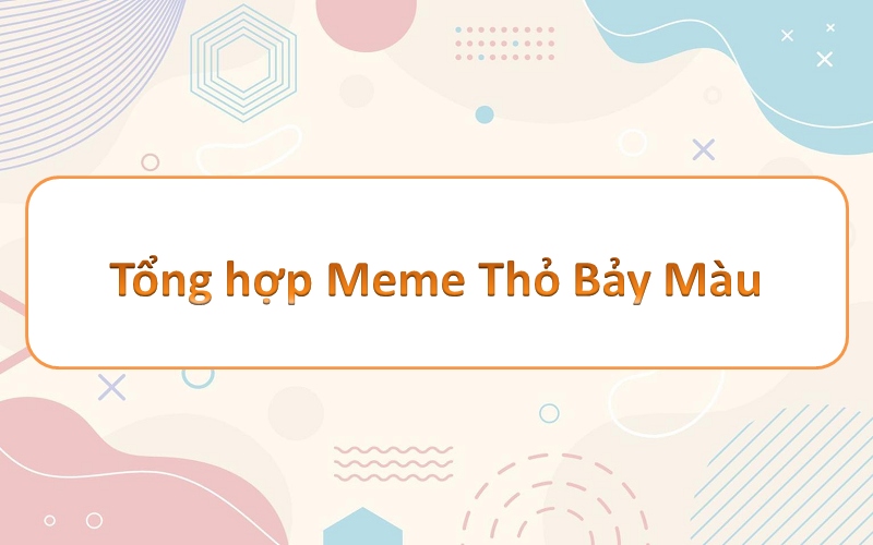 Thỏ bảy màu meme – đắm mình trong những sắc màu tuyệt đẹp đầy sáng tạo