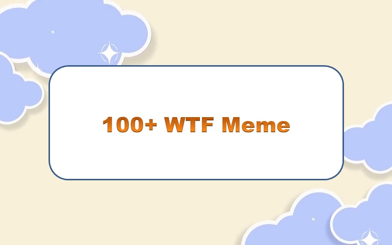 Top 100+ wtf meme – những khoảnh khắc hài hước không thể bỏ qua trên mạng xã hội