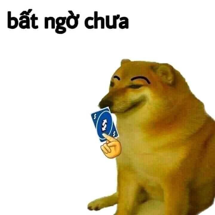 ảnh bất ngờ meme