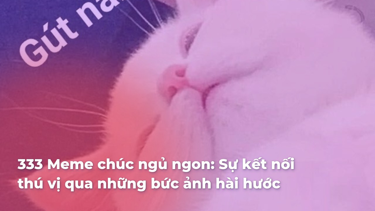 ảnh meme chúc ngủ ngon 0042