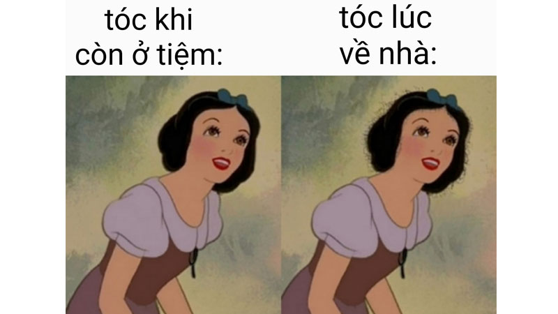 ảnh meme có chữ chất lượng cao