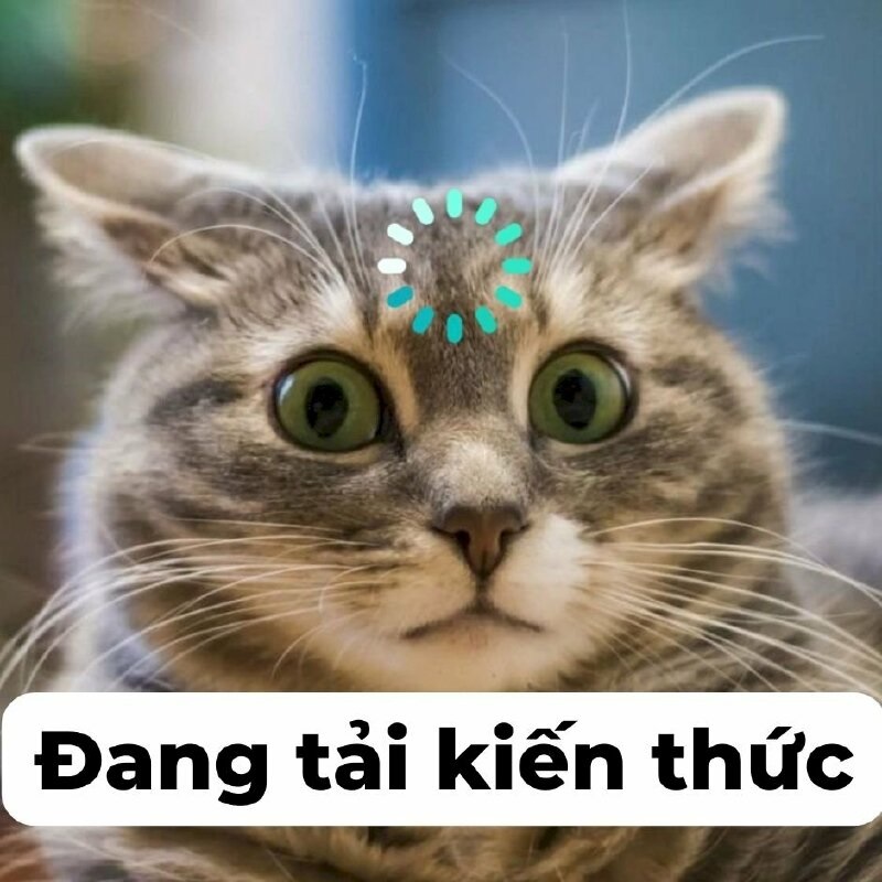 ảnh meme có chữ hài hước