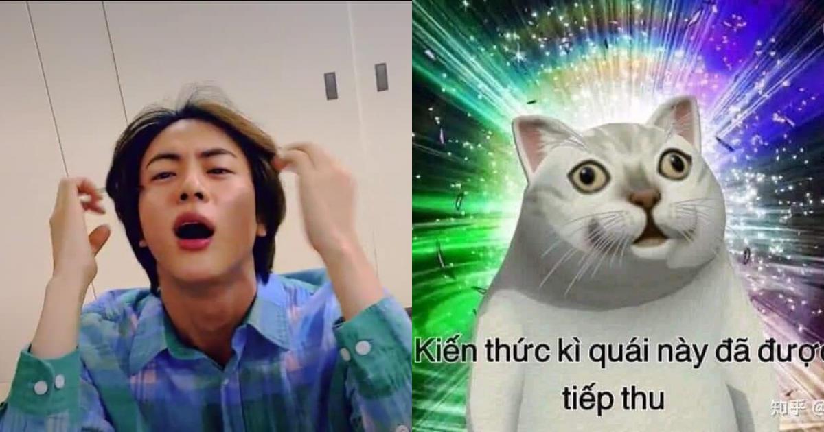 ảnh meme kiến thức phổ biến