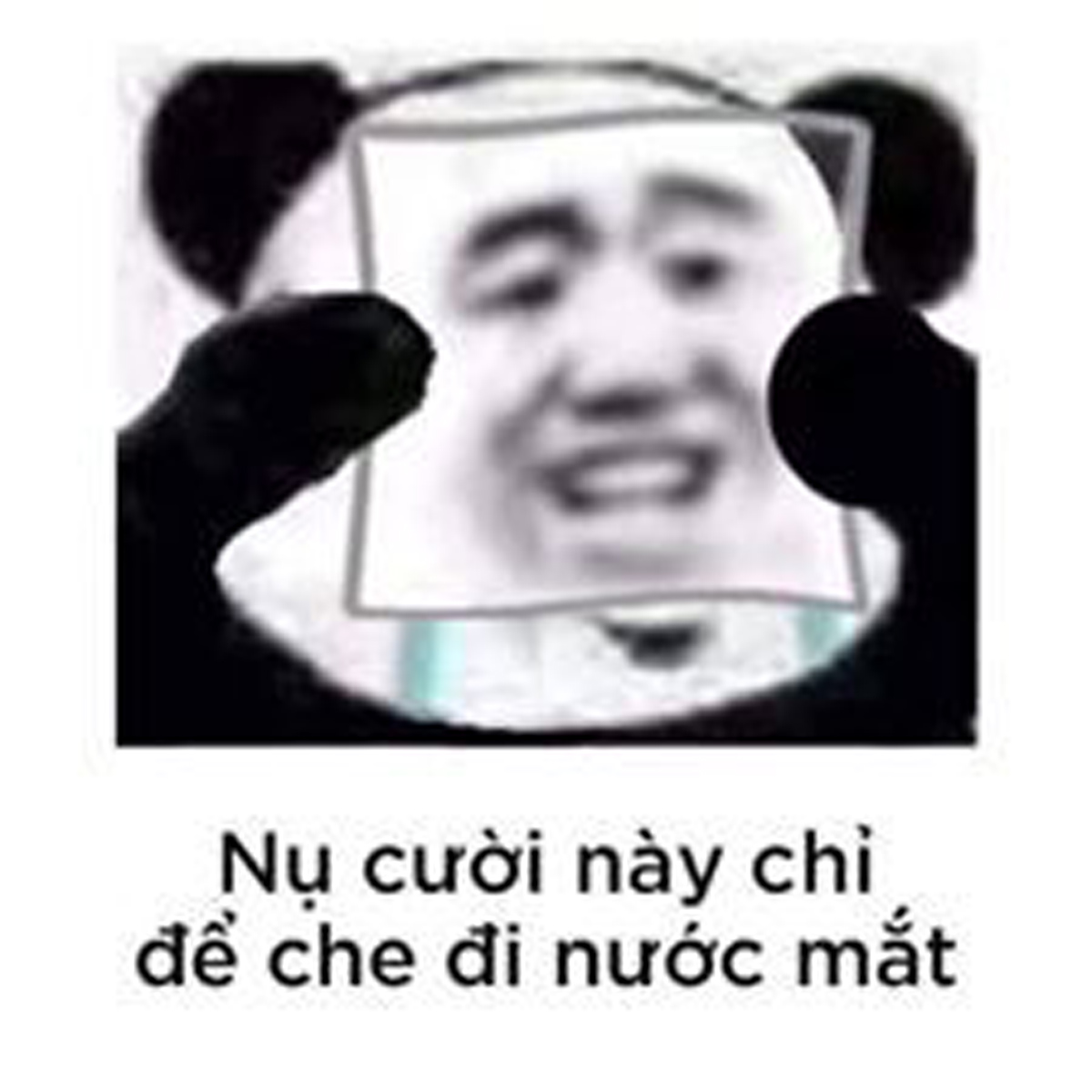 ảnh meme tuyệt vọng độc đáo