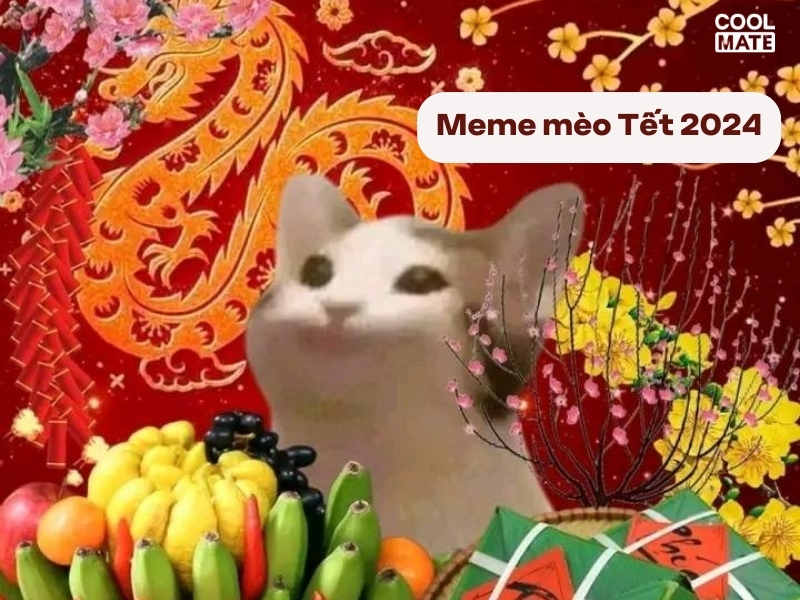 meme Tết