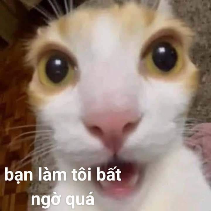 bất ngờ chưa meme